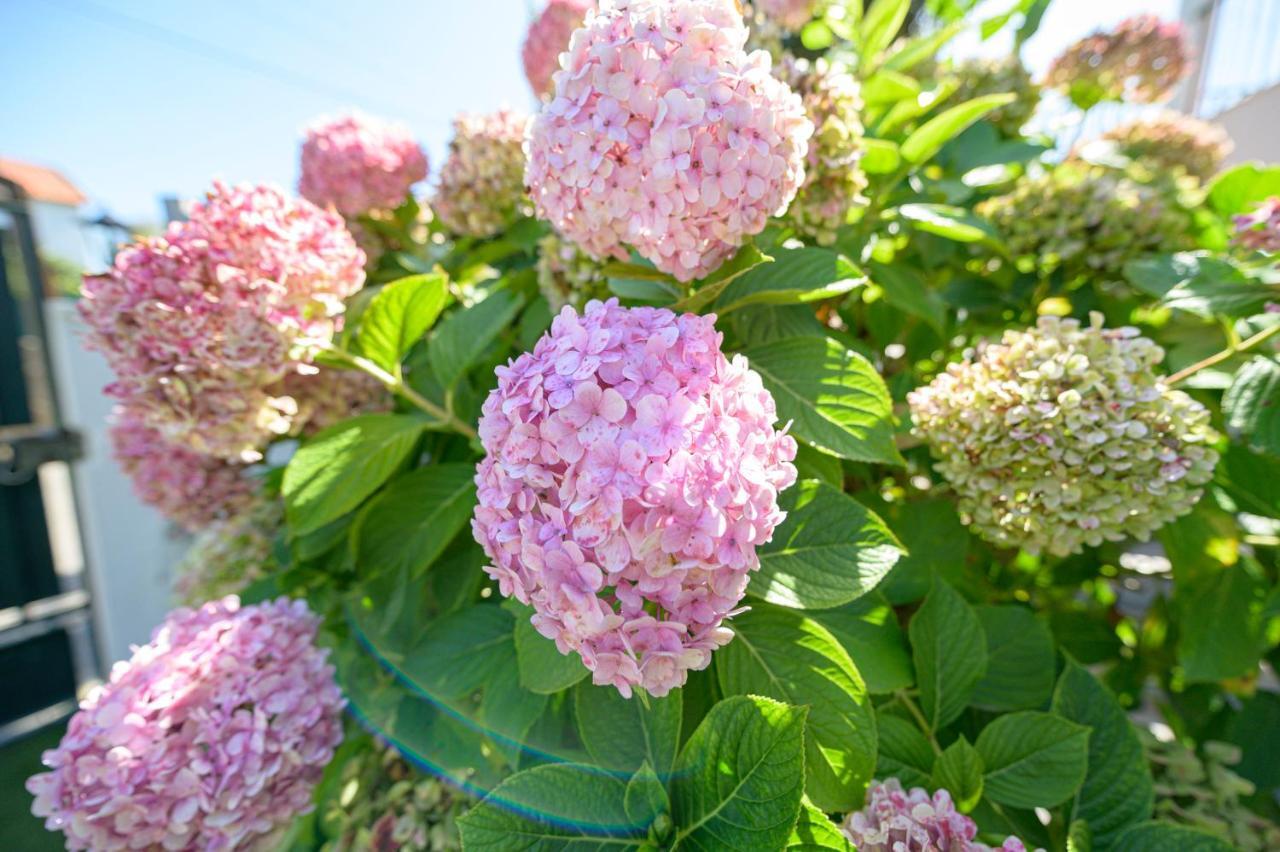 Casa Das Hortensias - Charming Guest House ซินตรา ภายนอก รูปภาพ